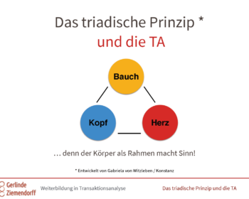 Das triadische Prinzip und die TA